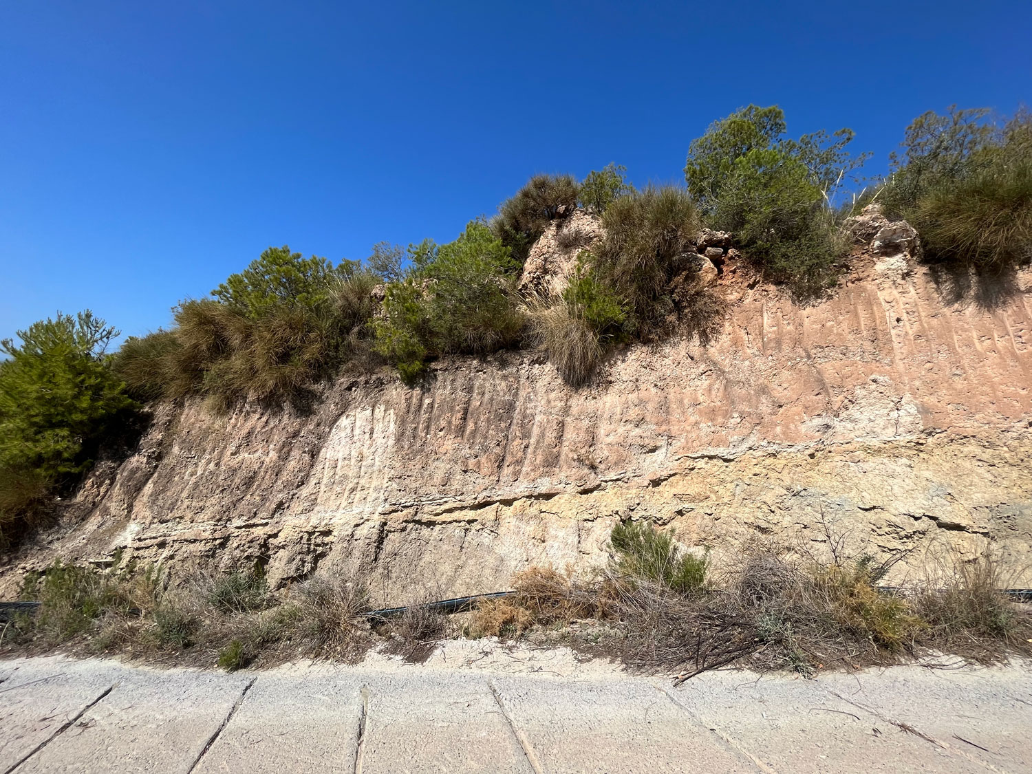 Estudio geológico y geotécnico